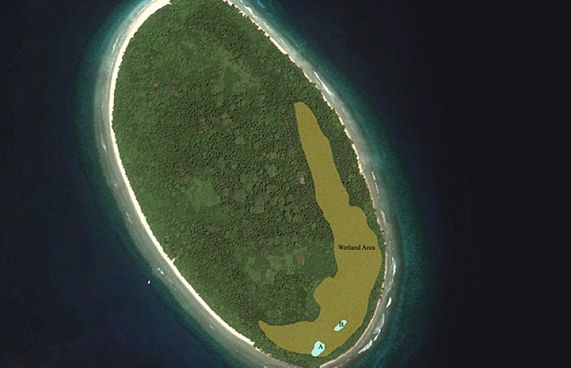 ޕްލޭނެއް ނެތި ކޭލަކުނު ހަވާލުކުރާތީ ކަންބޮޑުވުން