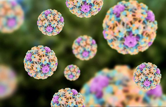 ޖިންސީ ގުޅުމުން އަރާ ކެންސަރު ޖައްސާ ވައިރަހެއް