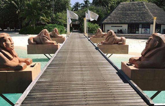 ފޯ ސީޒަން ކުޑަހުރާގައި ބެހެއްޓި ބުދުތައް ނަގައިފި