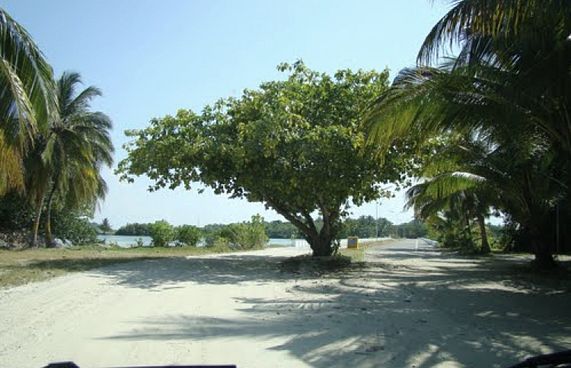 މާބައިދޫ އަންހެނުންތަކެއް އިހްތިޖާޖު ކުރަނީ