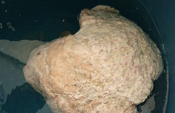 މަގޫދޫ ދޯންޏަކުން 11 ކިލޯގެެ "ހުދަންބަރެއް" ހޮވައިފި