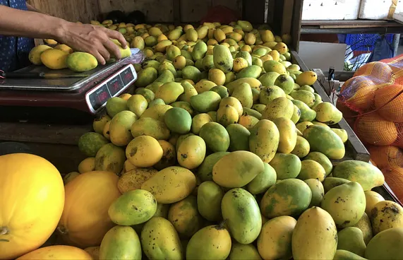 އިންޑިއާގެ އަނބު މަނައެއް ނުކުރޭ، އުސޫލަށް ބަދަލު ގެނައީ