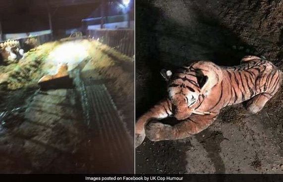 ކުޅޭކުޅޭ މިނިކާވަގެއް ހިފަން ފުލުހުން ހަތިޔާރާ އެކު