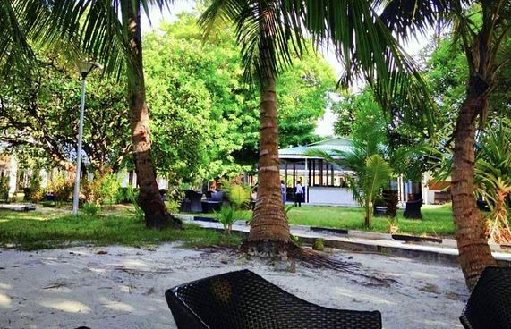 ގަމުގެ ދޫގަސް ތަރައްގީކޮށް އަލުން ހުޅުވަނީ