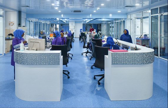 ފިރިހެން ނަރުހަކަށް ބުލީކުރުން ކުށްވެރިކޮށްފި