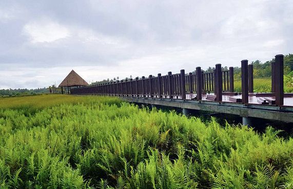 ދެކުނުގެ ދެ ނޭޗާ ޕާކް ޖޫންގައި ހުޅުވަނީ