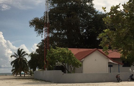 އޮޅުވެލިފުއްޓަށް ހޮނު އަޅައި ގެއްލުންތަކެއް ލިބިއްޖެ