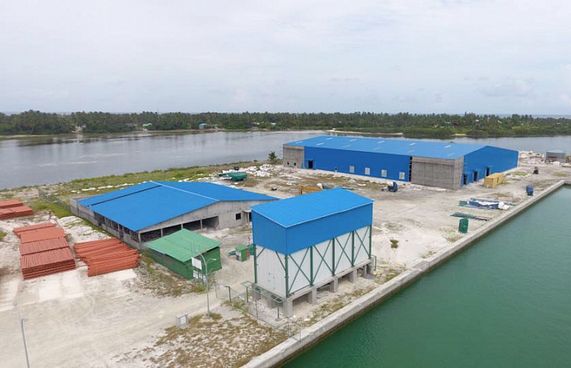 އައްޑޫން މަސް ބޭރުކުރުމުގެ މަސައްކަތް ފަށަން ތައްޔާރު