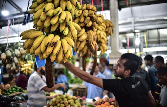 ނާސްތާ އަށް ދޮންކެޔޮ ދޭން ވައުދެއް ނުވޭ