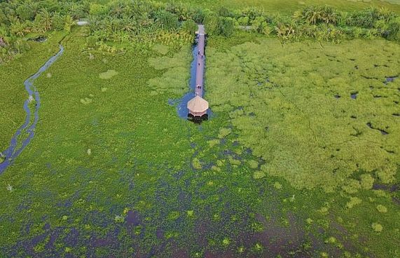 އައްޑު އާއި ފުވައްމުލަކު ނޭޗާ ޕާކް ހުޅުވަނީ