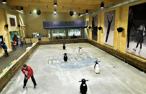 ވިންޓަ ތީމް ޕާކް އާންމުކޮށް ހުޅުވާލައިފި