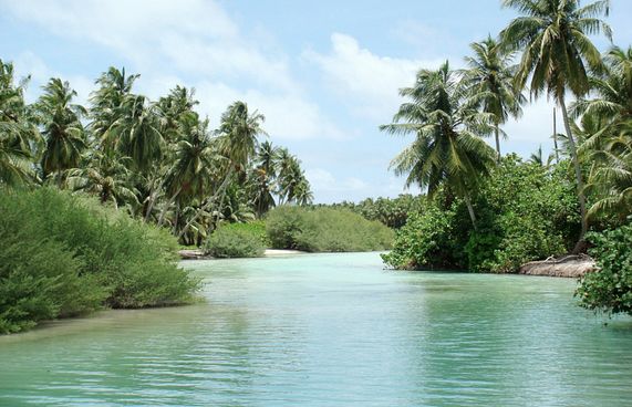 ފެނަކަ އޮފީހުގެ ވައްކަމާ ގުޅިގެން ބަޔަކު ވަކިކޮށްފި