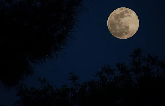 ހުރިހާ ރަށެއްގައި ވެސް ކޭތަނަމާދު ކުރުން މިރޭ އޮންނާނެ