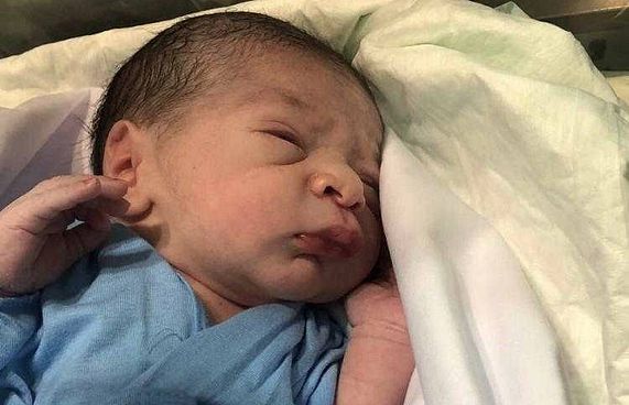 އަރަފާތު ދުވަހު އަރަފާތު ބިމުގައި ވިހޭ ކުއްޖާގެ ހާލު ރަނގަޅު