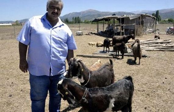 ކްލަބް ކުރިއަރުވަން ބަކަރިތަކެއް ގަނެފި