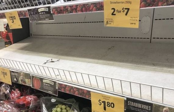 އޮސްޓްރޭލިއާގެ އާފަލް އާއި ދޮންކޭލުން ވެސް ތިނޯސް