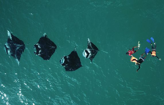 ދިރޭ ތަކެއްޗާ މެދު އަމަލުކުރާނެ ގޮތުގެ އުސޫލެއް