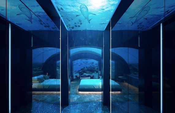 "ލެޝާ އިންވެސްޓްމެންޓްތައް އެންމެ ރަނގަޅީ ރާއްޖޭގައި"