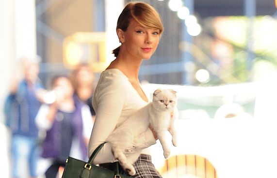 އެންމެ މުއްސަނދި ޕެޓުން