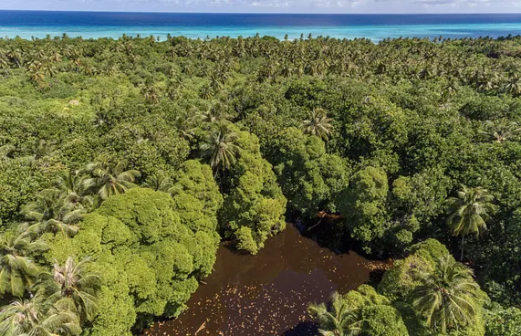 ގަމު ފެންގަނޑު ސަރަހައްދުގައި އިންފޮމޭޝަން ސެންޓަރެއް އަޅަނީ