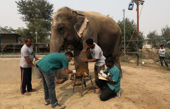 އެތަށް ހާއްސަ ހޮސްޕިޓަލެއް އިންޑިއާގައި ހުޅުވައިފި