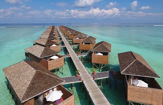 ސަފާރީއެއްގައި އެއްޗެއް ގޮވައި ދެ މީހަކު ފިހިއްޖެ