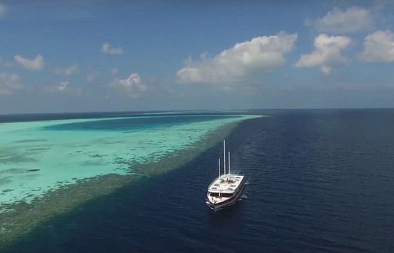 ޑައިވިނަށް ދިޔަ ޓޫރިސްޓަކު މަރުވެއްޖެ