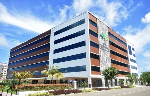 ޓްރީ ޓޮޕުން އަހަރީ ދުވަހަށް ހާއްސަ ހިދުމަތްތަކެއް