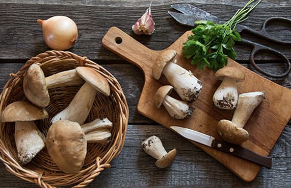 ހަނދާން ގަދަކުރަން މަޝްރޫމް ރަނގަޅު