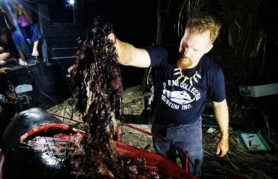 ބޮޑުމަހެއްގެ ބަނޑުން 40 ކިލޯގެ ޕްލާސްޓިކް