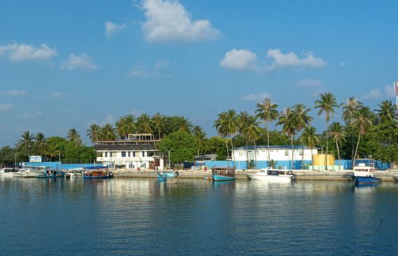 ގުރައިދޫގައި މަރުވި ކުއްޖާގެ ހަށިގަނޑު ވަޅުލައިފި