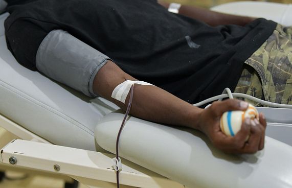 ބޯންމެރޯ ހެދި ކުއްޖަކު މަރުވެއްޖެ