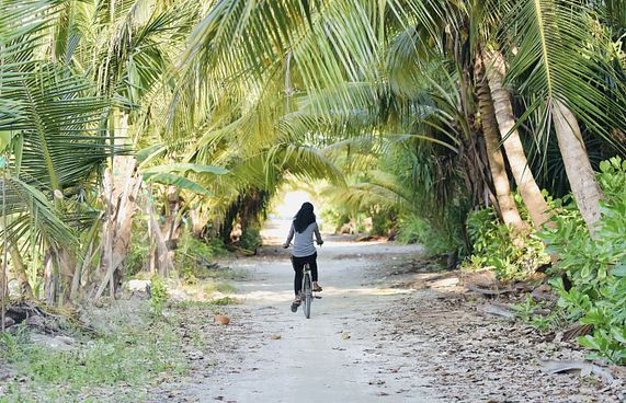 ފަރުވާ ނުދެވި ބަލި އިތުރަށް ބޮޑުވުމުގެ ބިރު!