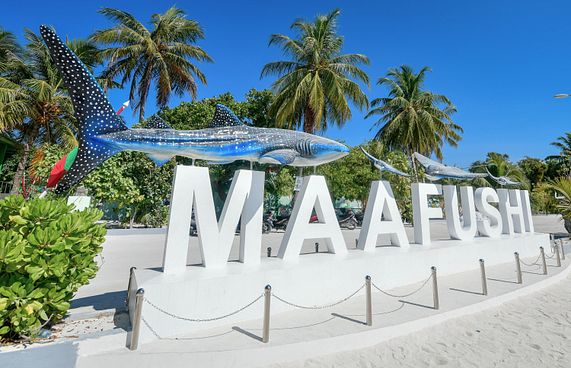 ދިވެހިން ގޮސް ގެސްޓްހައުސްތައް ފުރާލައިފި!