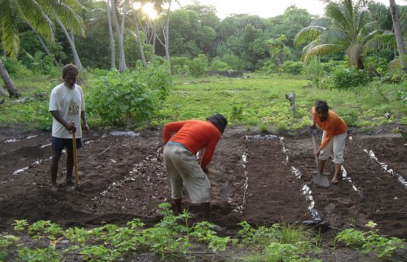 ދަނޑުވެރިކަމުގެ ލޯނުގެ 30 ޕަސެންޓް އަންހެނުންނަށް