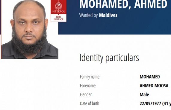 ސީލައިފްގެ ވެރިޔާ އައްމަޓީ ހޯދަން ރެޑް ނޯޓިސް ނެރެފި