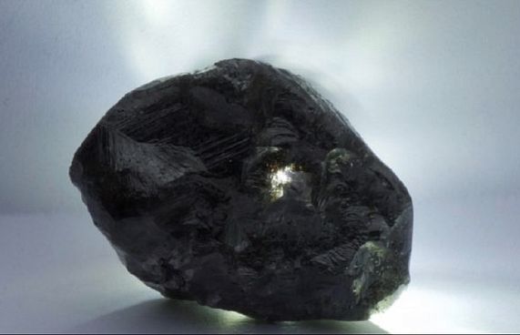 ދެ ވަނަ އަށް އެންމެ ބޮޑު އަލިމަސް ބޮޓްސްވާނާ އިން