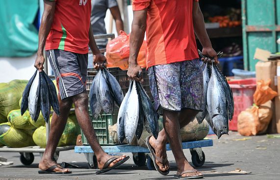 ކަރަންޓީނާ ޚިލާފްވި 15 ފަޅުވެރިއަކު ހައްޔަރުކޮށްފި