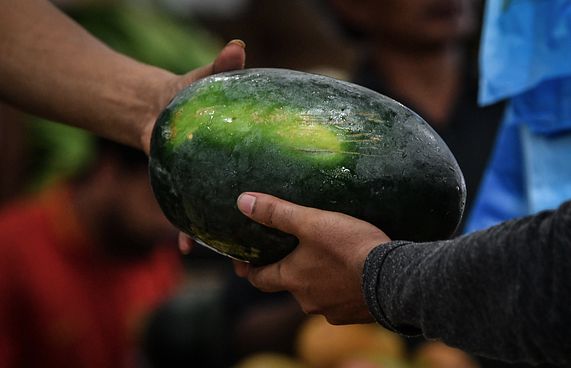 ޗަމްޕާއިން ހަދިޔާކުރި ކަރާ މާދަމާ ބަހަން ފަށަނީ