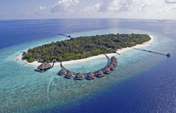 މީދުއްޕަރު ރިސޯޓުން ގިނަ ބަޔަކު ކާނާ ވިހަވެއްޖެ