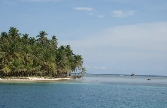 ޗާގޯސް ހޯދުމުގެ މަސައްކަތުގައި ދުލެއްނުދޭނަން: މޮރިޝަސް