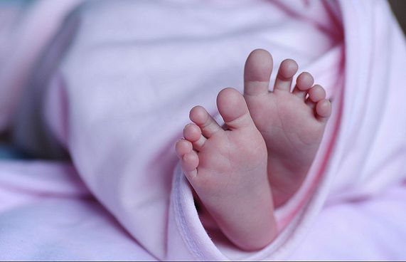 މަރުވި ކަމަށް ނިންމި ކުއްޖަކު ވަޅުލަނިކޮށް ހޭއަރައިފި