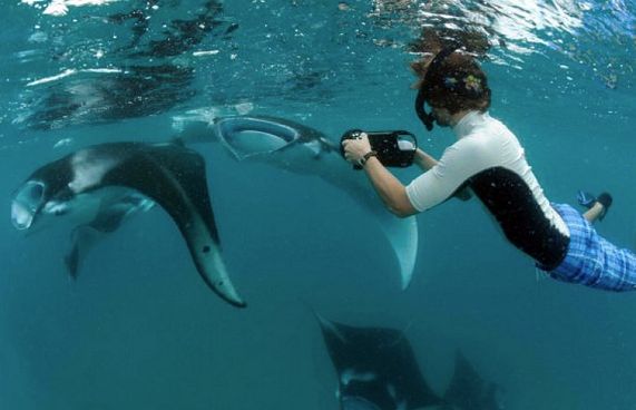 ރާއްޖެ އިތުރު ބަޔޮސްފިއާ ރިޒާވްތަކަކާ ދިމާލަށް!