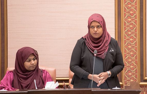 އެންސްޕާ، ޖެންޑާގެ ދަށުންހިންގަން މަޖިލިހުން ފާސްކޮށްފި