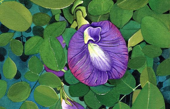 ނަން ރީތިވެފައި ފައިދާ ވެސް ބޮޑީ