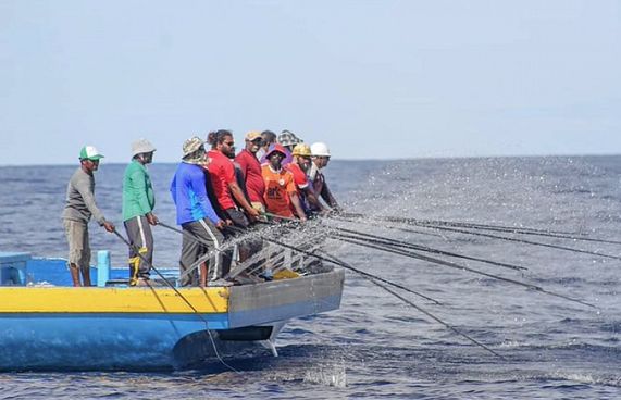 މަސް ގަންނަ ފަރާތްތަކަށް 100 މިލިއަން ރުފިޔާގެ ލޯނު