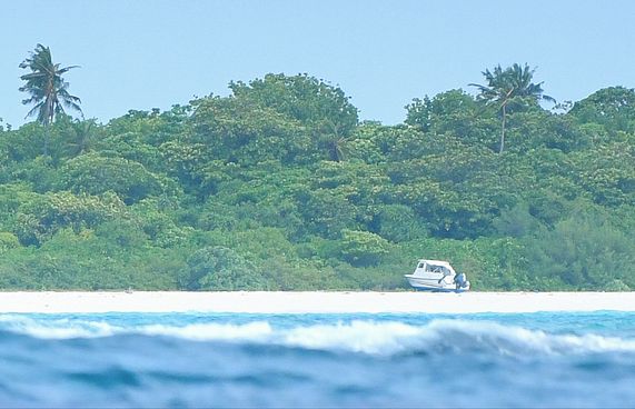 އެމްއެންޑީއެފްގެ ޑިންގީއަށް އަސްލު ވީ ކިހިނެއް؟