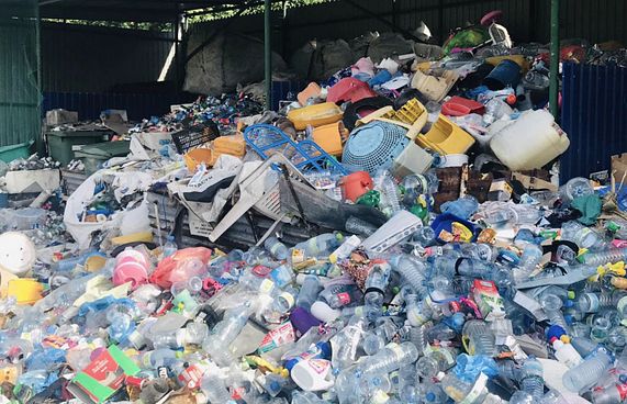 މަގޫދޫން ކުނި ބޭރުނުކުރާތާ އަހަރެއް، ޑެންގީ ފެތުރެނީ