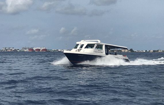 އަލްޝާލީން އާ ޑިޒައިނެއްގެ ލޯންޗެއް މާކެޓަށް ނެރެފި