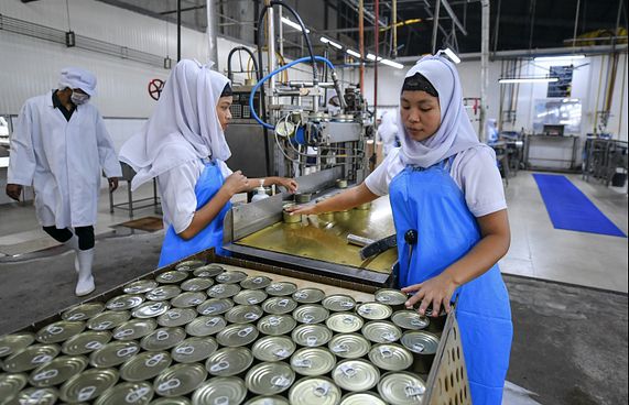 މިފްކޯއަށް ބިލިއަން ރުފިޔާގެ ގެއްލުންވި: އަމްރު